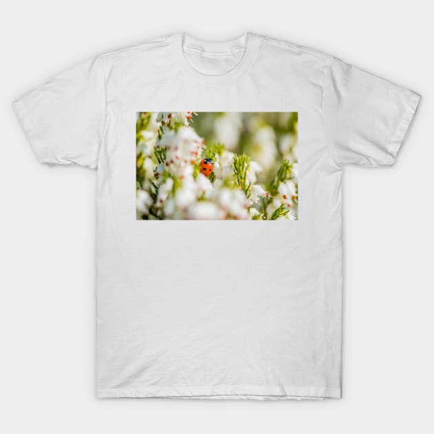 Ladybird amongst the heather T-Shirt by mbangert